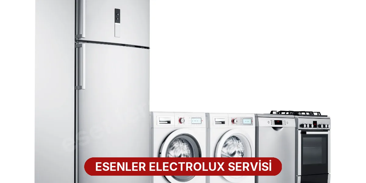Esenler Electrolux Servisi