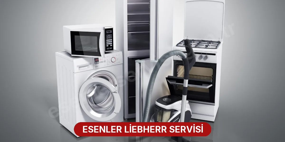 Esenler Liebherr Servisi